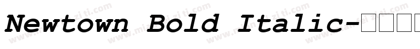 Newtown Bold Italic字体转换